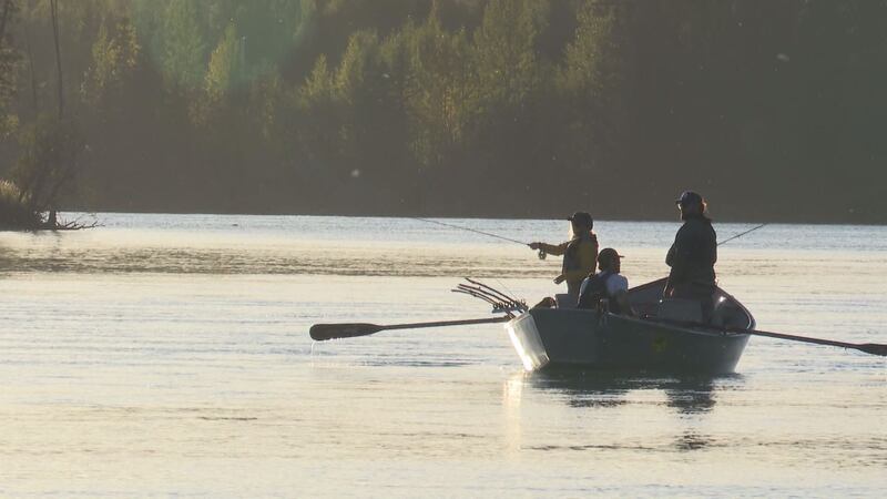 Fly fisherman on the upper Kenai River in southcentral Alaska.