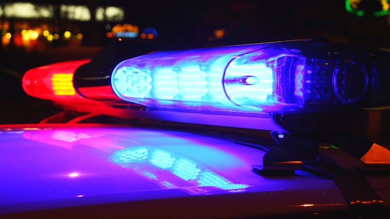 Police car (AP Photo)